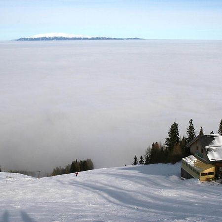 Modern Apartment With Garden Near The Petzen Ski Area In Eberndorf Carinthia Bagian luar foto