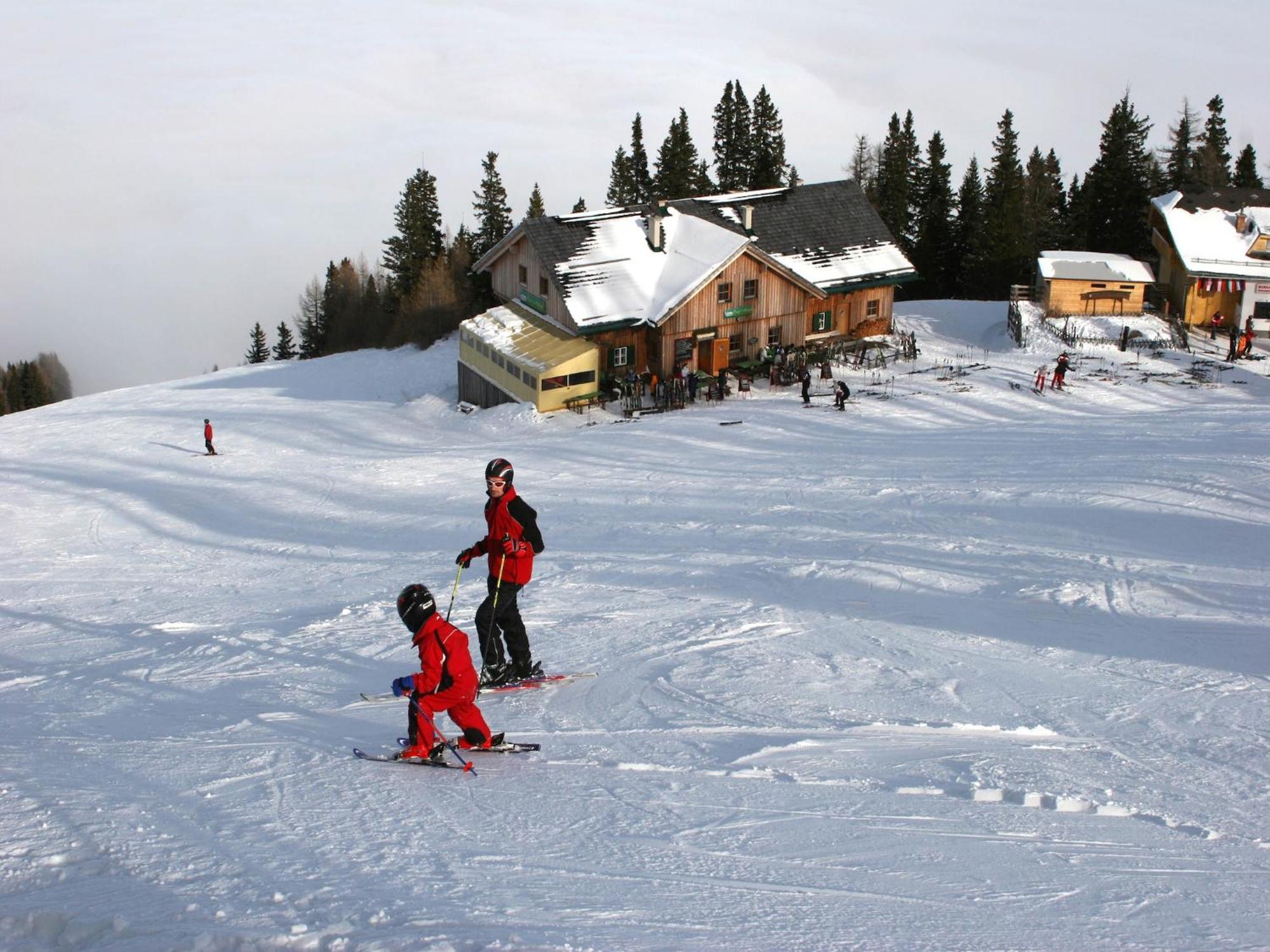 Modern Apartment With Garden Near The Petzen Ski Area In Eberndorf Carinthia Bagian luar foto